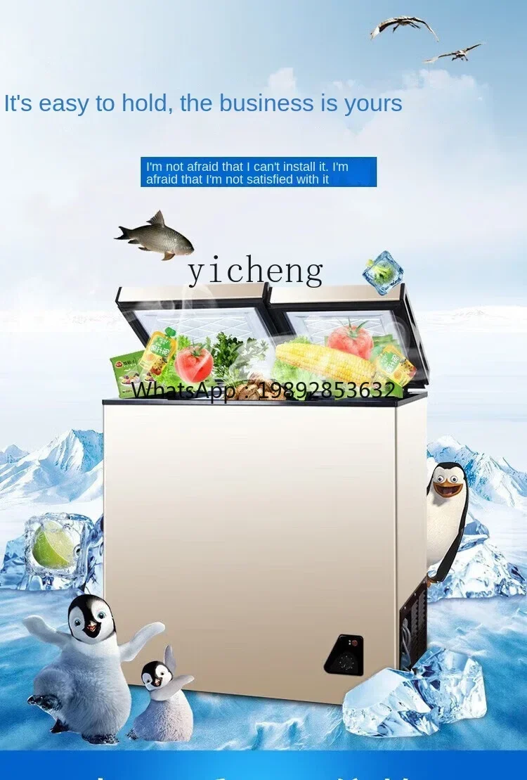 Food Storage Frozen - Refrigerador Doméstico Compacto com Congelador, Econômico,