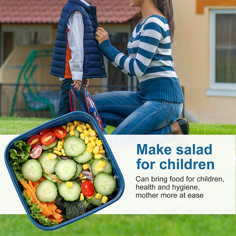 Recipiente de almoço de salada - Food Storage Vault avaliação e preço