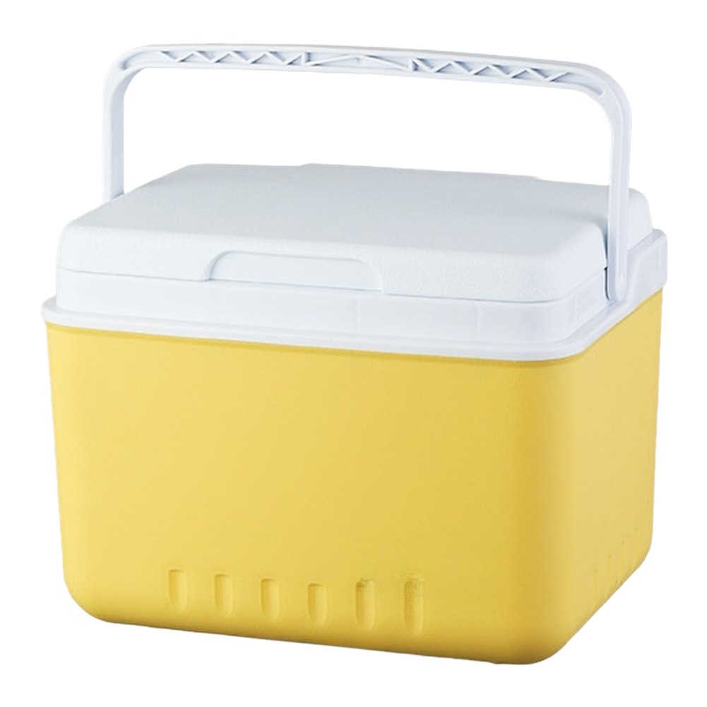 Caixa Térmica Portátil de 6L e - Food Storage In Cooler avaliação e preço