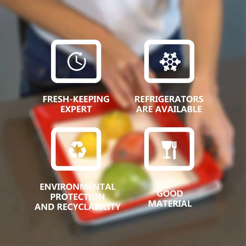 Bandeja de Preservação de Alim - Food Storage And Safety avaliação e preço