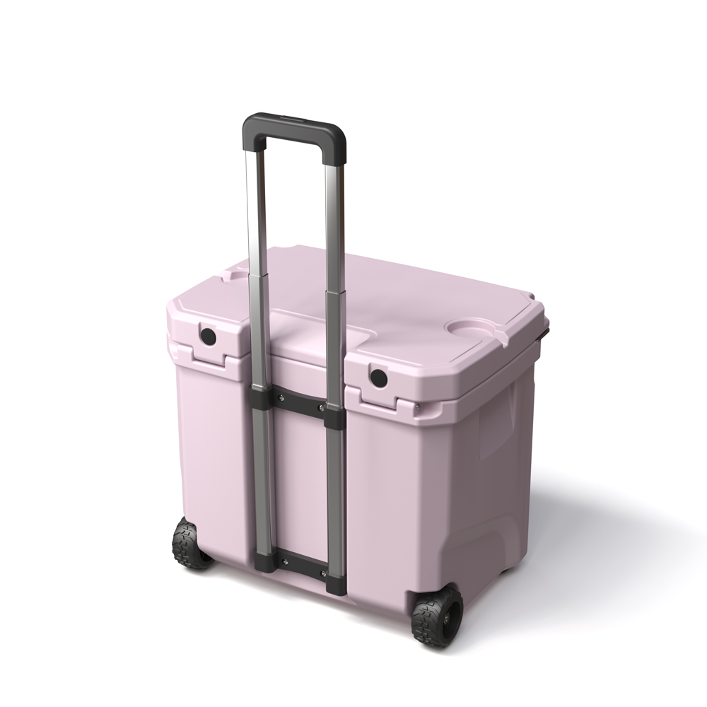 Cooler Portátil Isolado à Prov - Food Storage Is avaliação e preço
