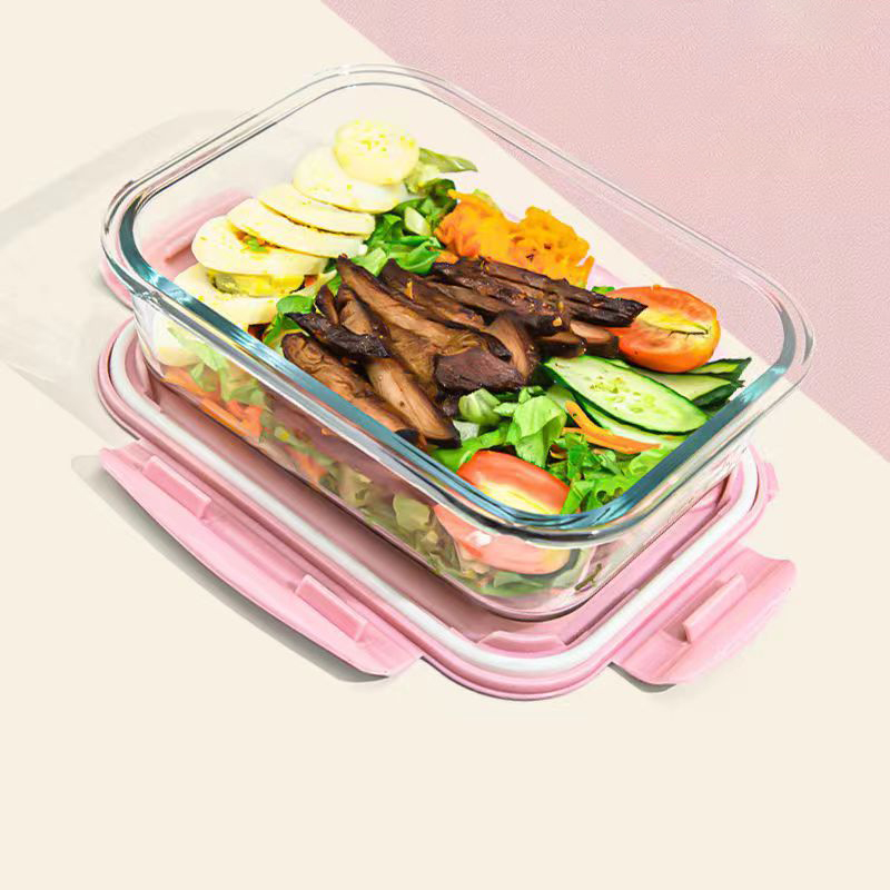 Novo estilo lancheira de vidro - Food Storage Vault avaliação e preço