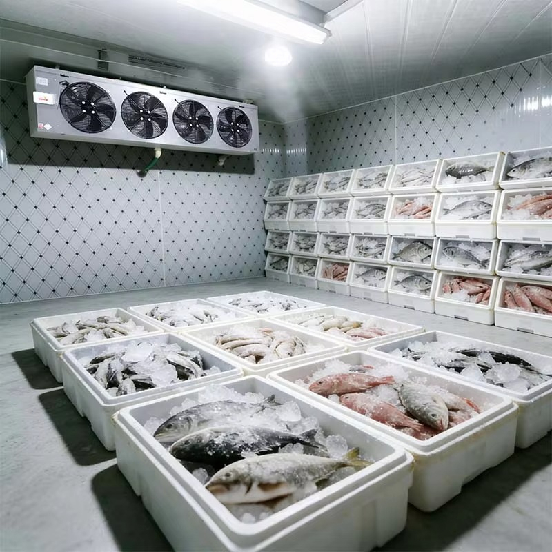 Câmara frigorífica personaliza - Food Storage And Safety avaliação e preço